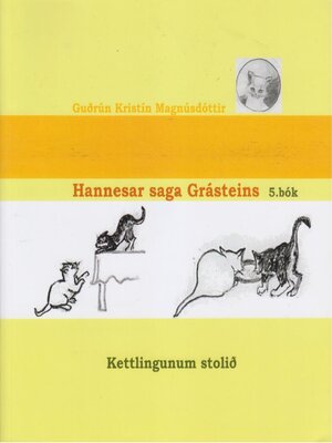 cover image of Hannesar saga Grásteins - 5. bók